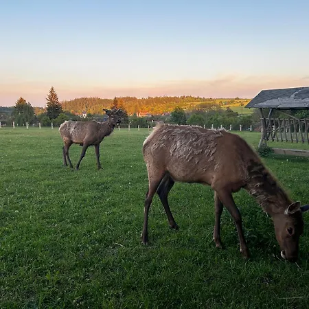 Fajnhaus Campismo de Luxo Jakartovice