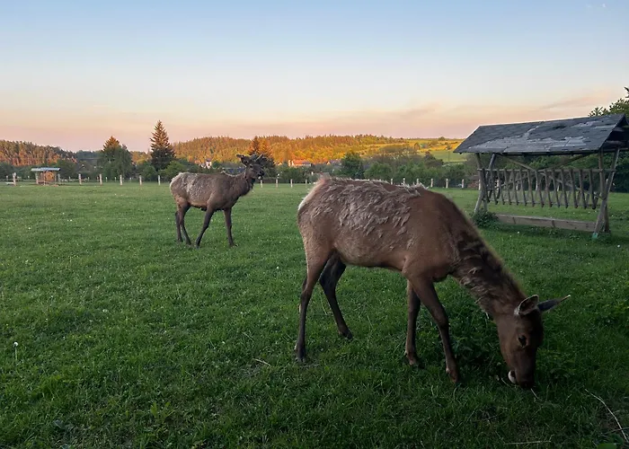 Fajnhaus Οργανωμένο κάμπινγκ Jakartovice
